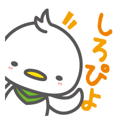 [LINEスタンプ] しろぴよ 〜日常会話編〜の画像（メイン）