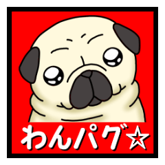 [LINEスタンプ] わんパグ★ ～日常会話編～の画像（メイン）