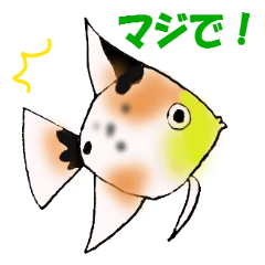 [LINEスタンプ] 楽しいアクアリウムの画像（メイン）