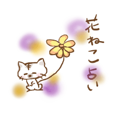 [LINEスタンプ] 猫の花占い