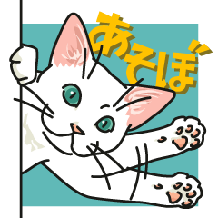 [LINEスタンプ] ながらオトモの白い猫