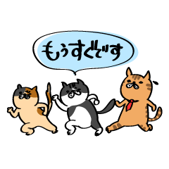 [LINEスタンプ] 待ち合わせをする猫たち