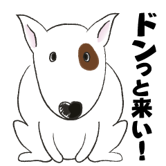 [LINEスタンプ] ドンっと来い！