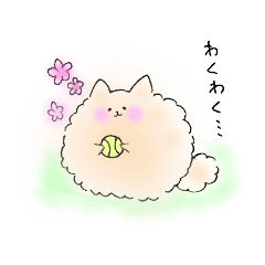 [LINEスタンプ] もふもふポメラニアンの画像（メイン）