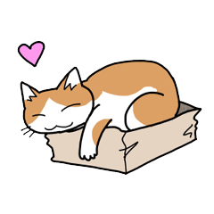 [LINEスタンプ] 箱好き猫