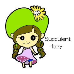 [LINEスタンプ] Succulent fairy(多肉植物の妖精)