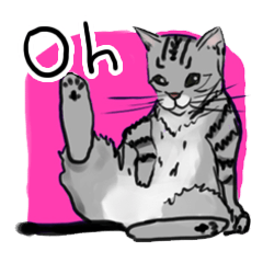 [LINEスタンプ] Oh！アメショの画像（メイン）