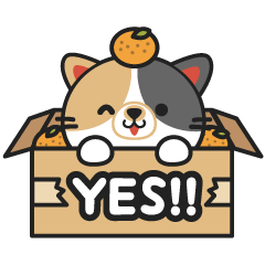 [LINEスタンプ] ねこの小梅の生活