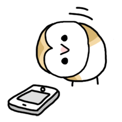 [LINEスタンプ] メンフクロウのまめふくちゃん