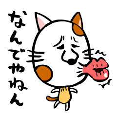 [LINEスタンプ] かわいい猫の会話の画像（メイン）