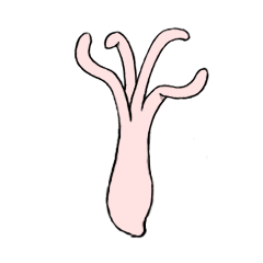 [LINEスタンプ] チクビヒドラ