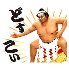 [LINEスタンプ] 貴乃花