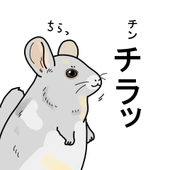 [LINEスタンプ] 名前で話す動物たち！の画像（メイン）