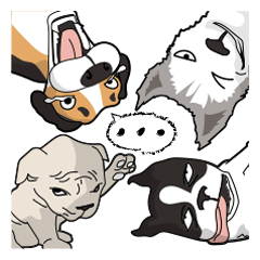 [LINEスタンプ] 犬が言うこと！の画像（メイン）