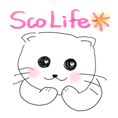 [LINEスタンプ] Life of Scottish Fold catの画像（メイン）
