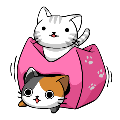 [LINEスタンプ] こねこにゃんず