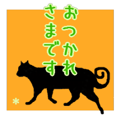 黒いよ猫