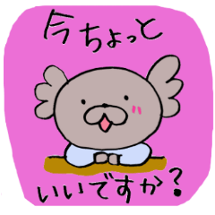 [LINEスタンプ] こあプーさん。毎日使えるスタンプ