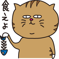 [LINEスタンプ] つっこみ猫 茶トラとアメショの画像（メイン）