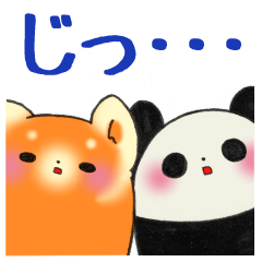 [LINEスタンプ] パンダとレッサーパンダ