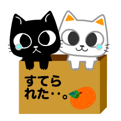 [LINEスタンプ] 捨て猫～シロとクロ～