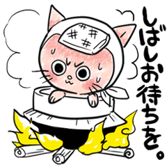 [LINEスタンプ] 伊賀猫のこたろう