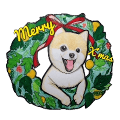 [LINEスタンプ] ポメラニアンのメリークリスマスの画像（メイン）