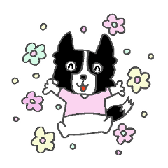 [LINEスタンプ] ボボボボボーダーコリー コリさんの画像（メイン）