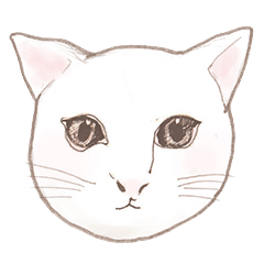 [LINEスタンプ] 猫くんのエモート