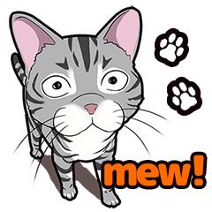[LINEスタンプ] Cat American Shorthair(English ver.)の画像（メイン）