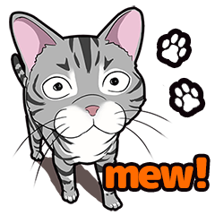 [LINEスタンプ] Cat American Shorthair(English ver.)