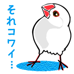 [LINEスタンプ] 文鳥の日々の画像（メイン）