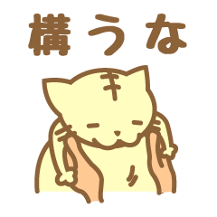 [LINEスタンプ] 三文字ねこ