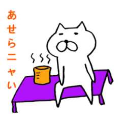 [LINEスタンプ] ポジティブなネコ ポジニャン