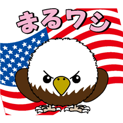 [LINEスタンプ] まるワシの画像（メイン）