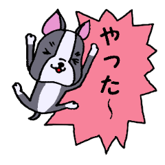 [LINEスタンプ] 愉快なボストンテリアちゃんの画像（メイン）