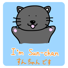 [LINEスタンプ] 英会話猫すんちゃん