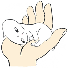 [LINEスタンプ] 手のひらの猫神様