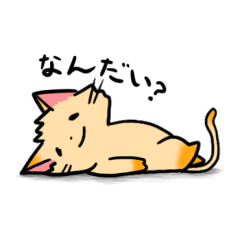 [LINEスタンプ] ほちゃねこ