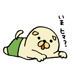 [LINEスタンプ] 柴犬コロの画像（メイン）