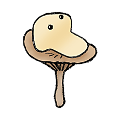 [LINEスタンプ] きのこの精