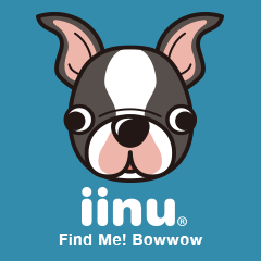 iinu ボストン・テリア