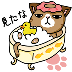 [LINEスタンプ] ネコ まめまめ工房秘密基地 第6弾