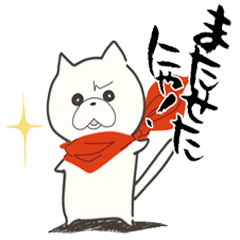 [LINEスタンプ] まめねこ。の画像（メイン）