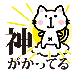 [LINEスタンプ] 白猫参上2ほめ上手な猫【プチアニマル⑰】