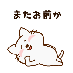 [LINEスタンプ] もこにゃん