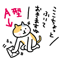 [LINEスタンプ] 【血液型別】A型にゃんこ【性格別】