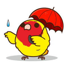 [LINEスタンプ] 【Misslovebird】可愛いボタンインコの画像（メイン）