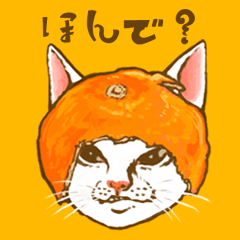 [LINEスタンプ] 【字】猫が被り物をしたら予想以上だったwの画像（メイン）