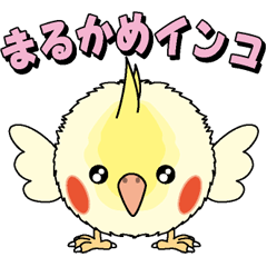 [LINEスタンプ] まるかめインコの画像（メイン）